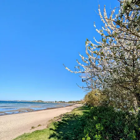 Spatzenhecke * Klutz